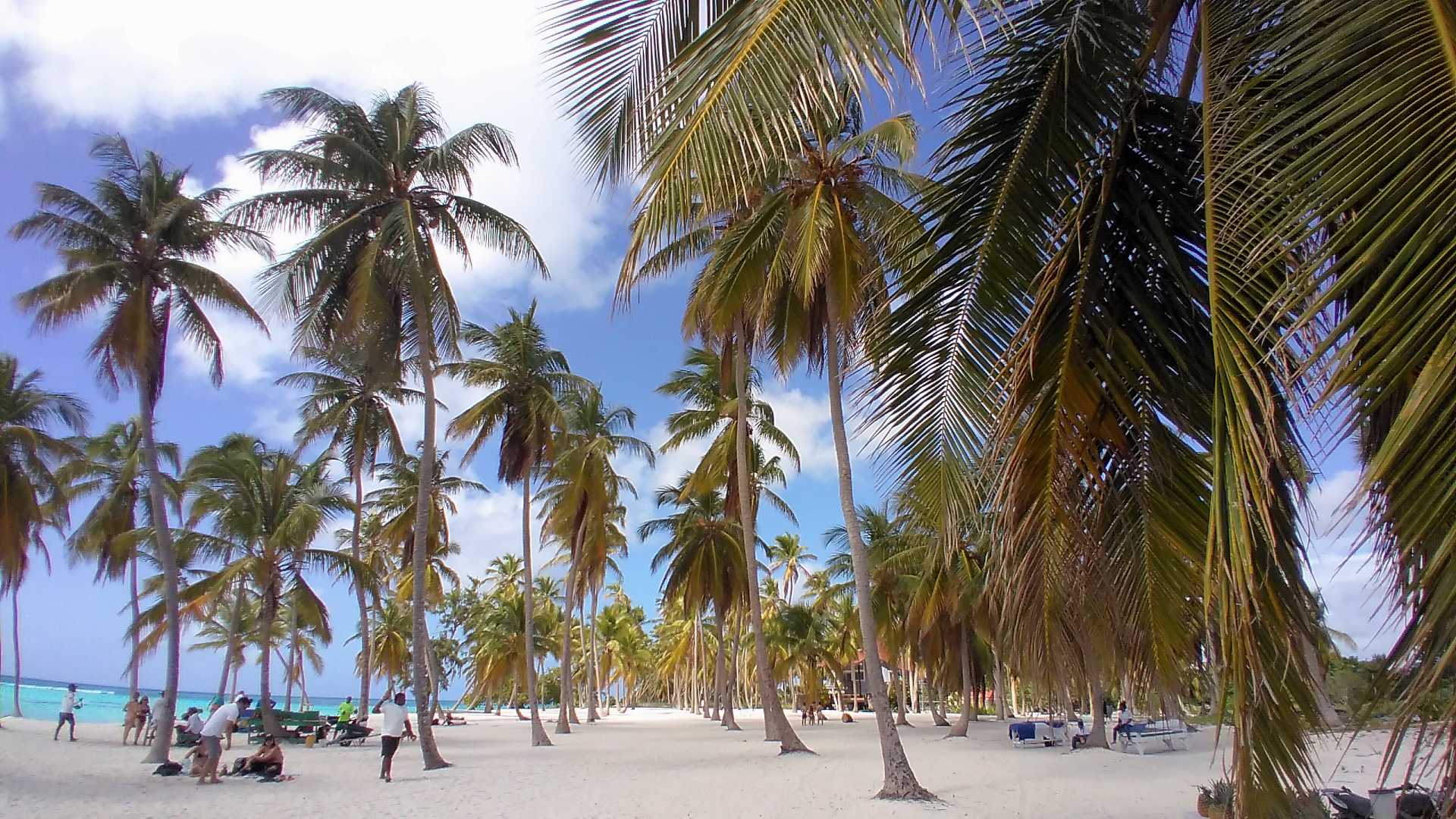 Canto de la Playa: one of the best beaches in Saona Island