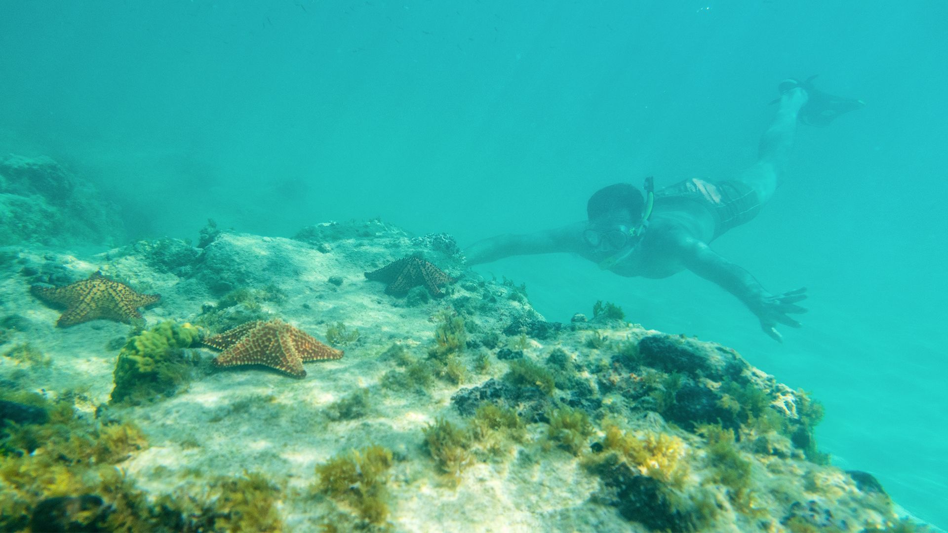 Snorkeling in Punta Cana: avoid the high expectations