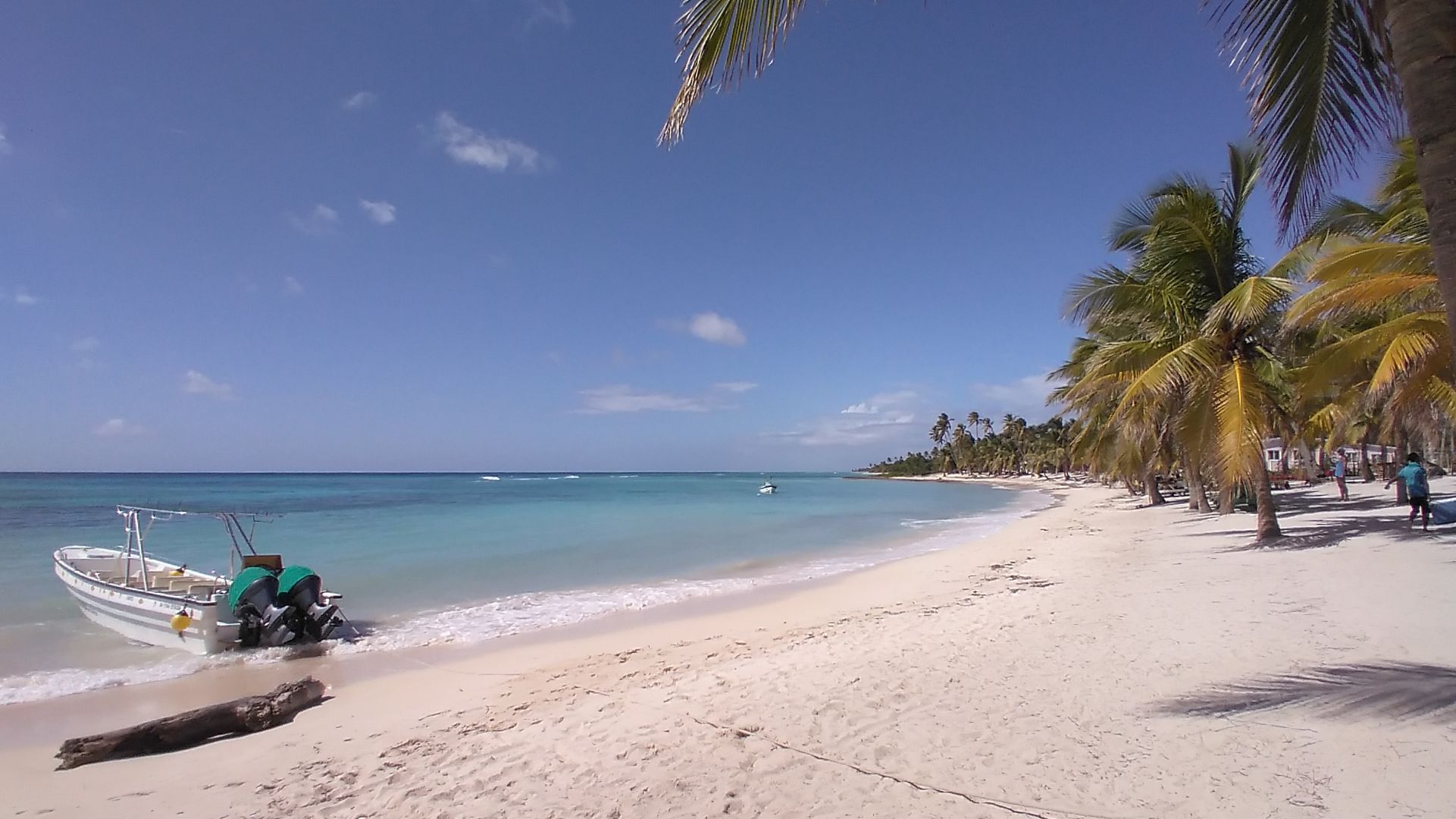 Saona Island: A Paradise Short Distance from Punta Cana