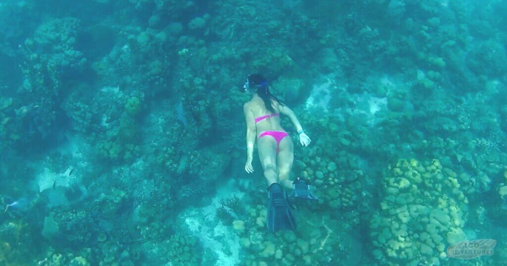 Snorkeling in Punta Cana