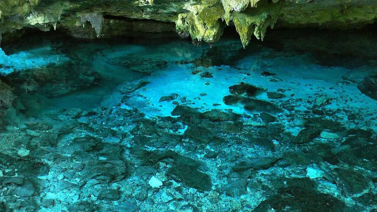 Cenote Las Ondas